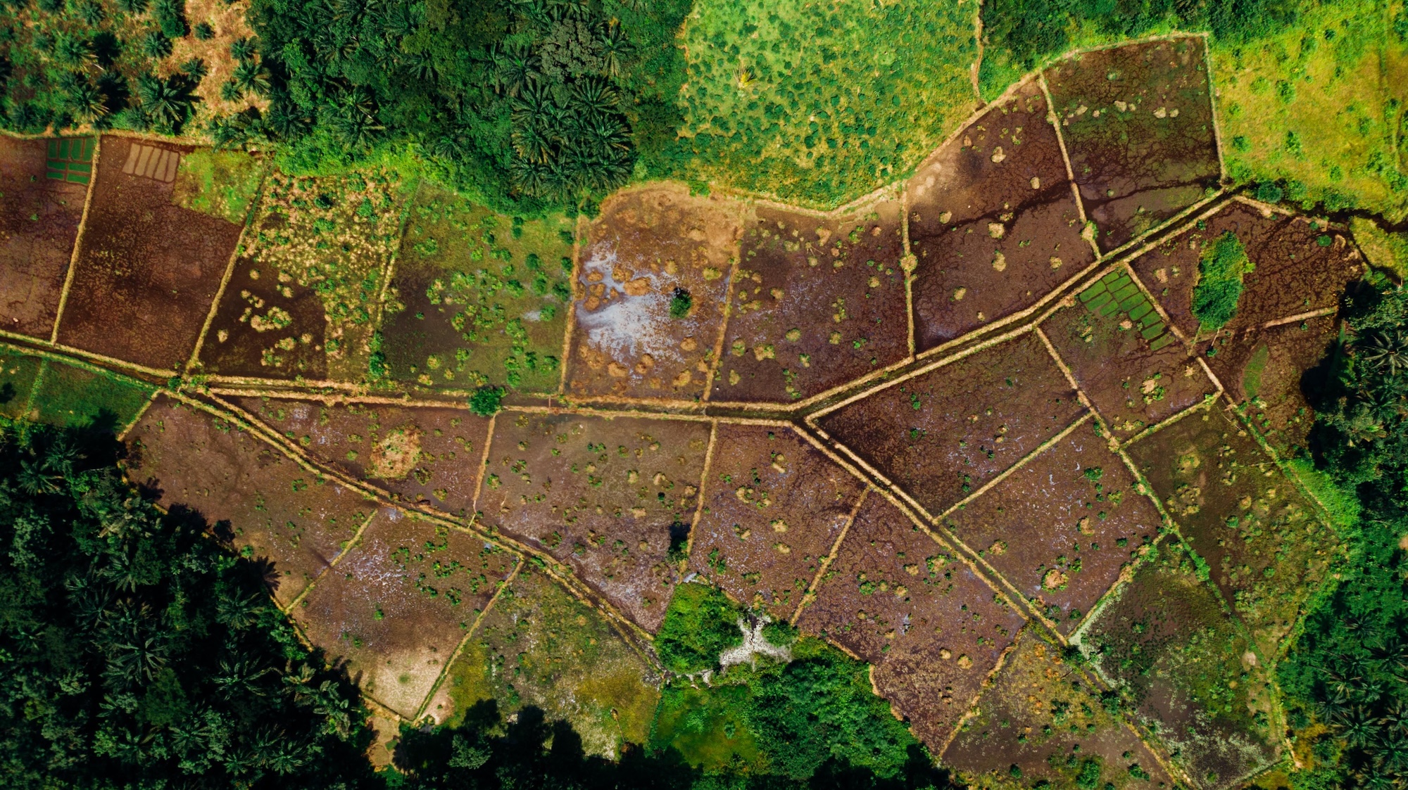 An aerial view of farm land with various plots of dirt surrounds by greenery.